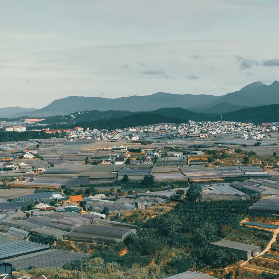Tại Hồ Ngọc Hải